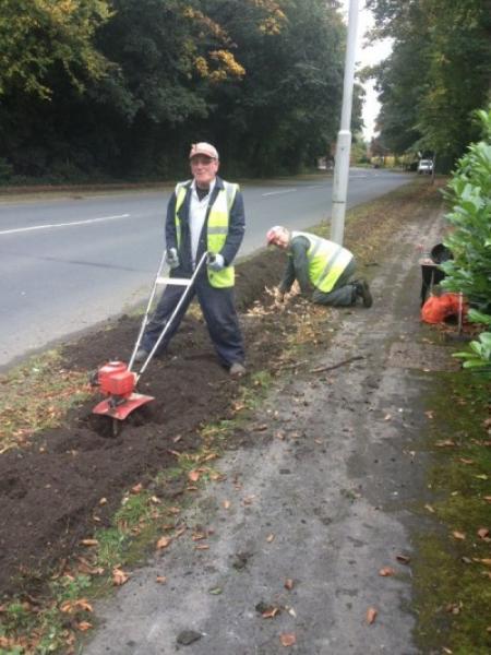 Bulb Planting on The Avenue Main Photo