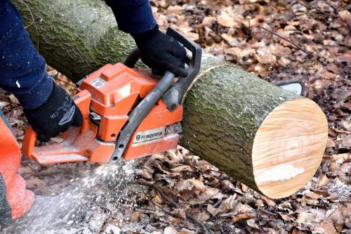 Green Wood